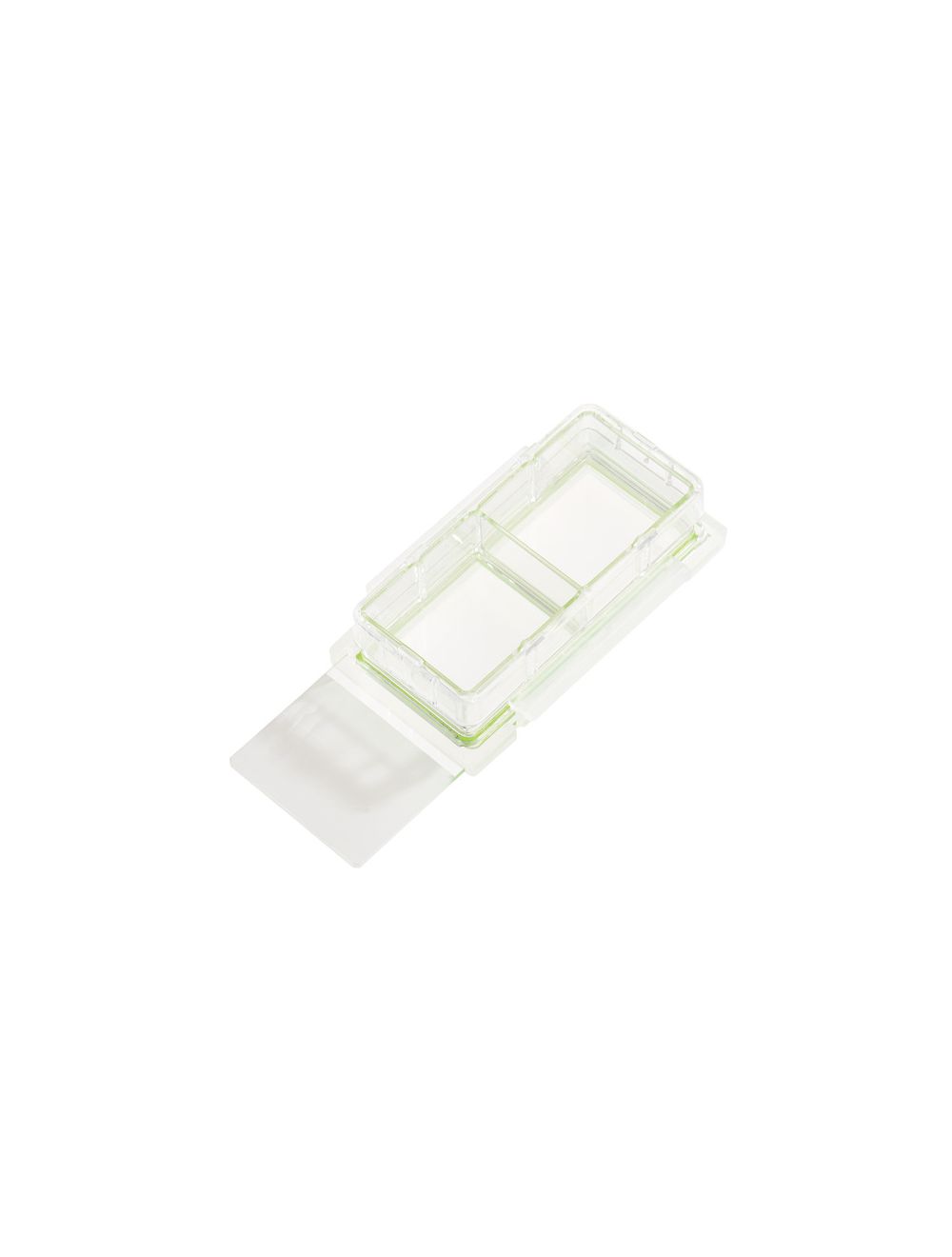 NEST Cell Culture Chamber Slides, 2 Well w/Glass Slide, Clear, 4.55 cm2, 1.2-2.5mL, 6/pk, 12/Box