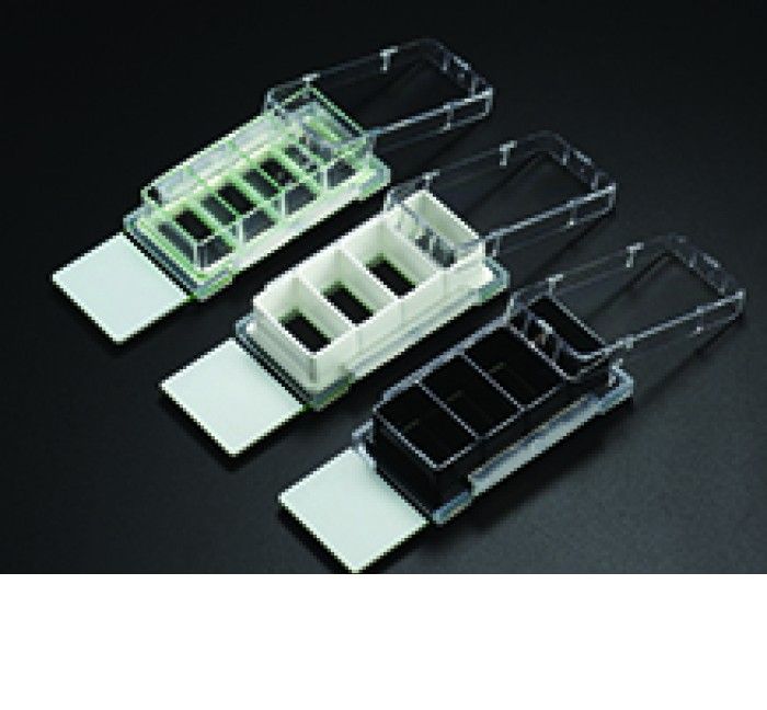 NEST Cell Culture Chamber Slides, 4 Well w/Glass Slide, Black, 2.13 cm2, 0.5-1.3mL, 6/pk, 12/Box