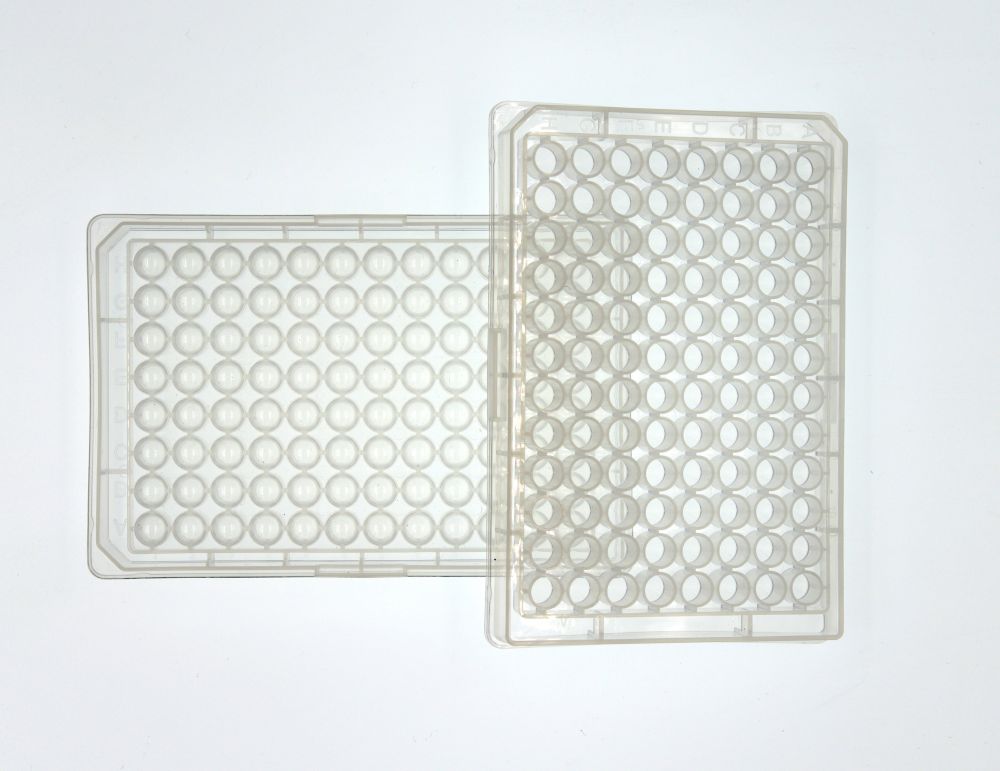 NEST 0.36 mL 96-Well Deep Well Plate, V-Bottom, Round well, Non-Sterile, 5/pk, 50/Box