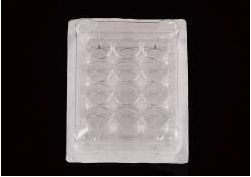 NEST 96 Well Cell Culture Plate, U-bottom, TC, STERILE 1/pk, 100/Box