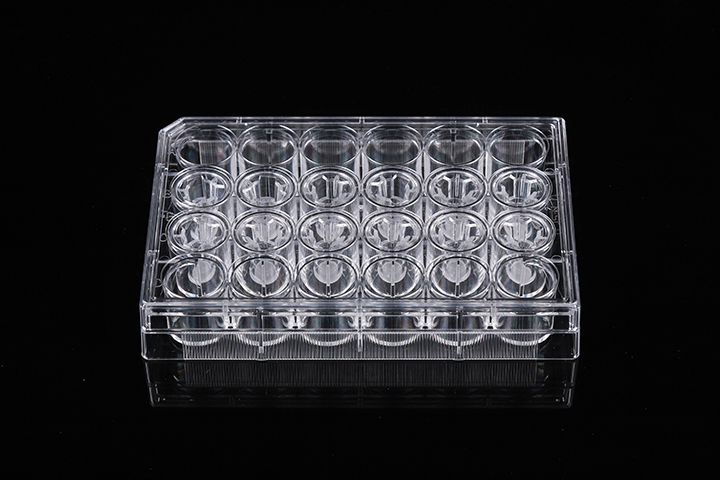 NEST 6 Cell Culture Inserts+6 Well Plate, 3 μm, PC Membrane, TC, STERILE, 6/pk, 60/Box