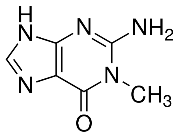 1-Methylguanine, 99%, CAS No. : [938-85-2]