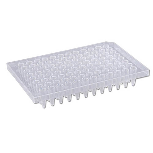 Rose PCR Plates, Semi Skirted, 96 x 0.2mL, 50/pk