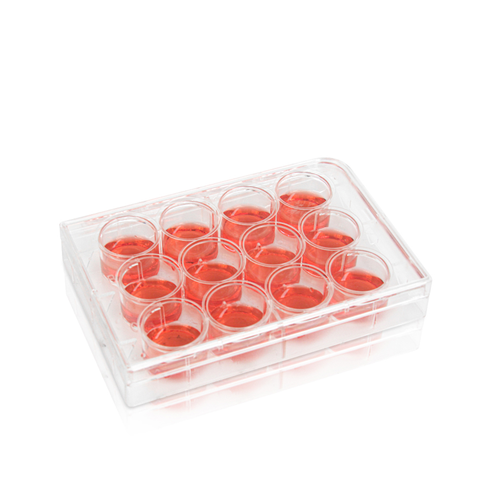 6-Well Cell Culture Plate. Clear. Flat Bottom. Tissue Culture (TC) Treated. Plastic/Paper Individual Packing. Sterile 1 piece/pack. 50packs/carton