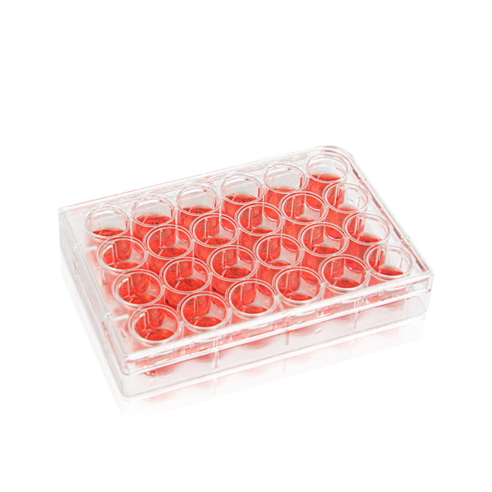 12-Well Cell Culture Plate. Clear. Flat Bottom. Tissue Culture (TC) Treated. Plastic/Paper Individual Packing. Sterile 1 piece/pack. 50packs/carton