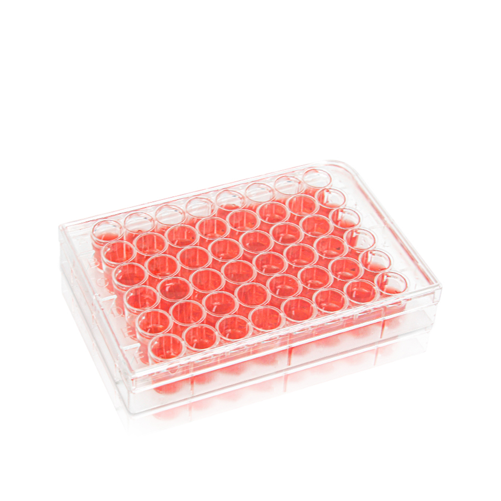 24-Well Cell Culture Plate. Clear. Flat Bottom. Tissue Culture (TC) Treated. Plastic/Paper Individual Packing. Sterile 1 piece/pack. 50packs/carton