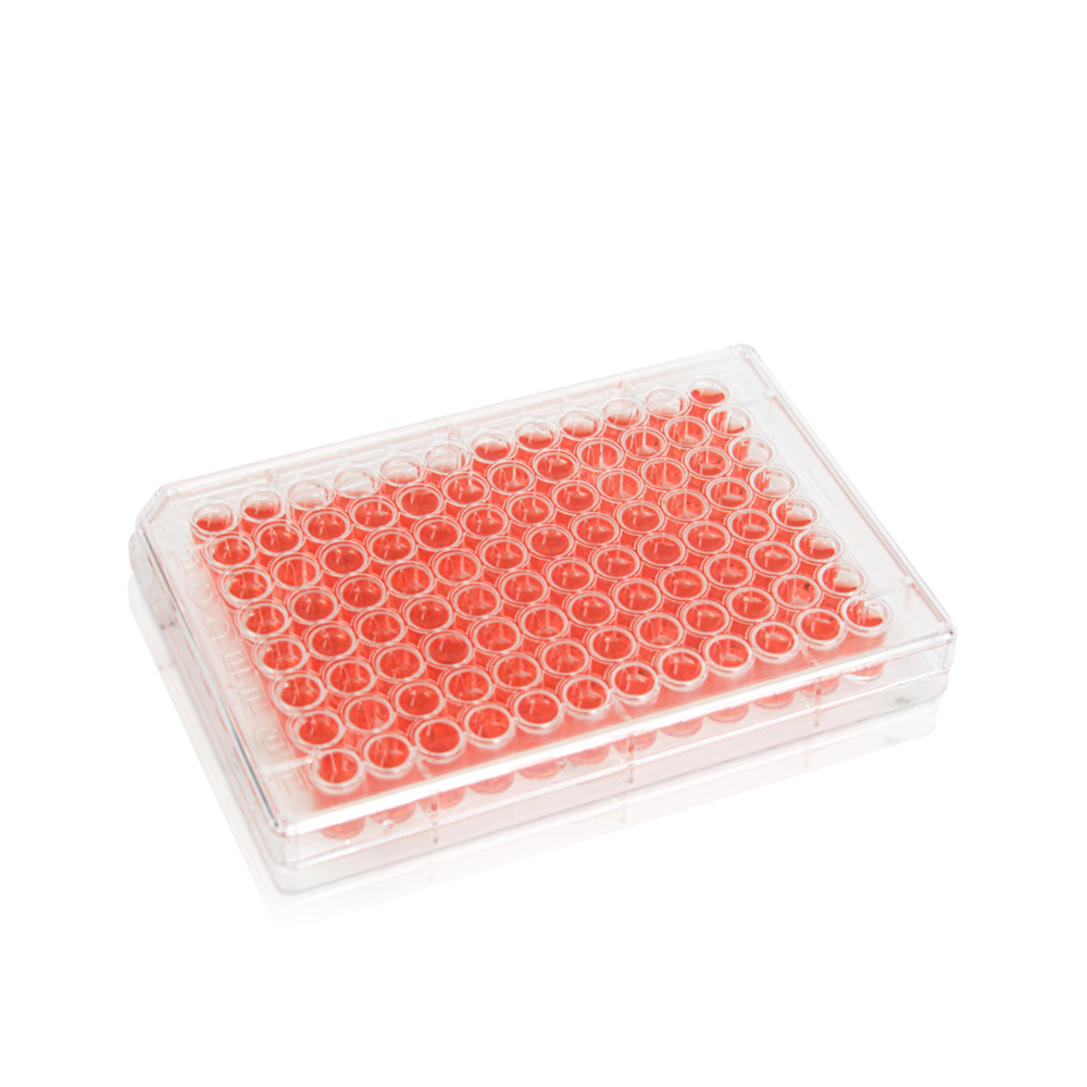 48-Well Cell Culture Plate. Clear. Flat Bottom. Tissue Culture (TC) Treated. Plastic/Paper Individual Packing. Sterile 1 piece/pack. 50packs/carton